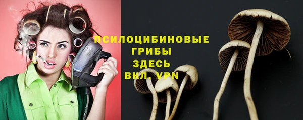 Альфа ПВП Беломорск