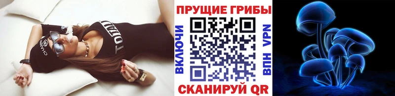 Псилоцибиновые грибы GOLDEN TEACHER  Татарск 